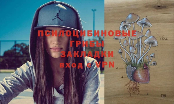 гашиш Богородицк